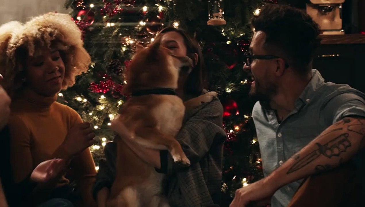 Dog | Love towards a dog