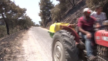 Yangın bitti, geriye acısı kaldı