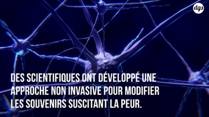Une étude révèle comment la peur peut être effacée de notre mémoire