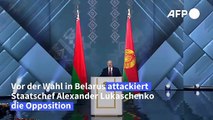 Lukaschenko: Opposition plant 