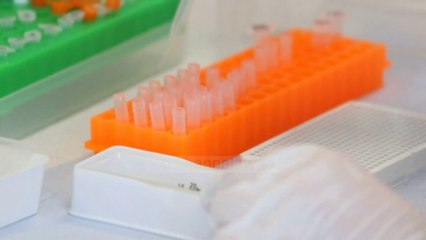 Top News - “Mund të na ndryshojë ADN-ja” / BBC: Pohime të rreme për vaksinën