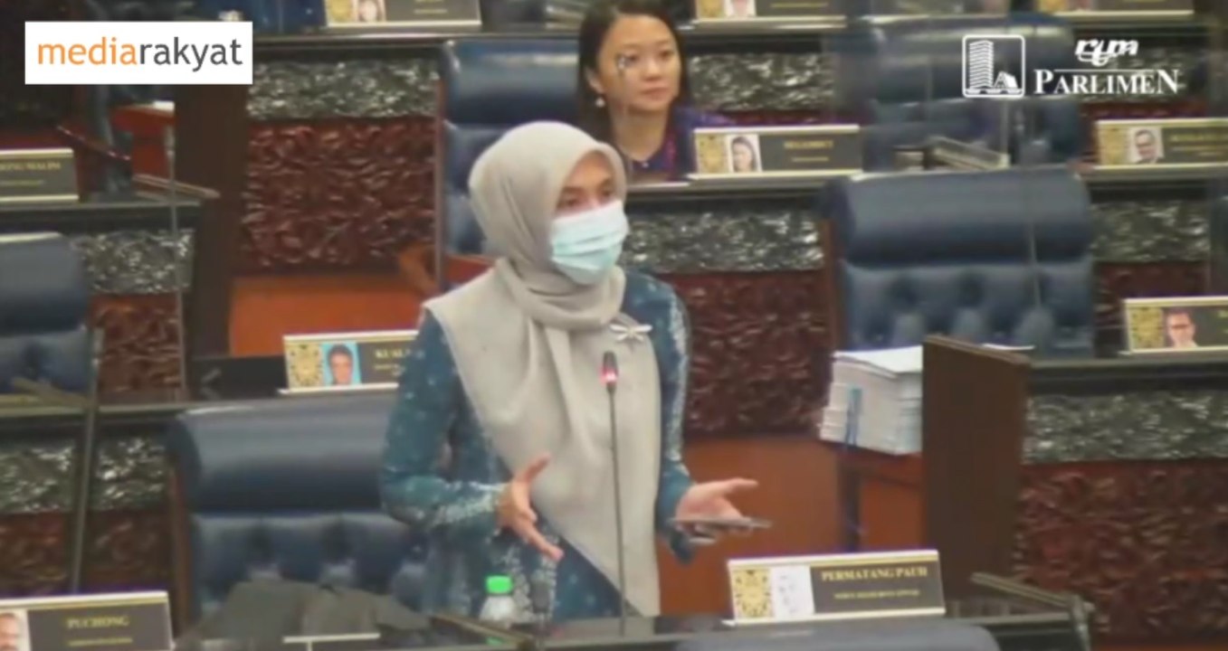 Nurul Izzah: Pastikan Tidak Ada Lagi Campur Tangan Politik Yang Mengagalkan Usaha Untuk Menhantar Bakul-Bakul Makanan