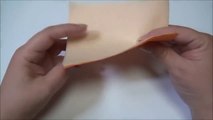 　【DIY】(Paper Ponpon)Easy!Butterfly   اشغال يدوية سهلة