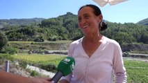 Tregtarët e autostradës/ Shesin buzë rrugës Tiranë-Elbasan për të siguruar të ardhurat