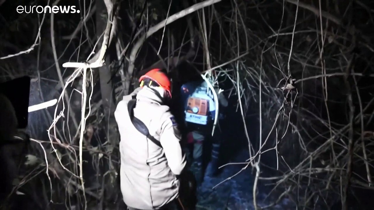 Waldbrände ufern aus: Brasilien bangt um UNESCO-Welterbe Pantanal