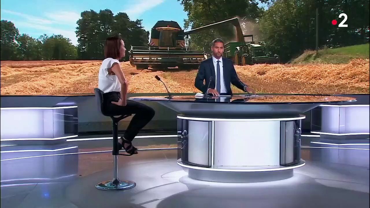 Agriculture : les moissons de blé historiquement basses