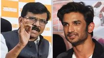 Sushant Case की CBI जांच की सिफारिश पर भड़के Sanjay Raut, कही ये बात | FilmiBeat