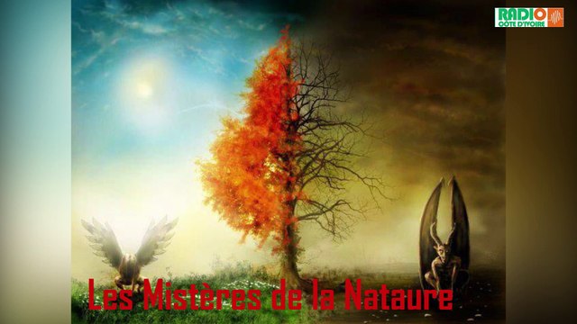 Les Mystères de la Nature/Les Mystères de la Nature avec Abou Philo et Maitre Bamba