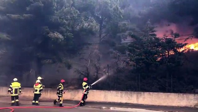 Feu à Port-de-Bouc : Plus de 50 hectares de broussailles ravagés par les flammes