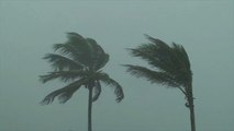 Tropical Storm Isaias Forecast to Become Category 1 Hurricane As North and South Carolina