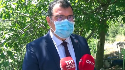 Kovid-19 aşı ve ilaç projelerinde büyük aşama kaydedildi - MUĞLA