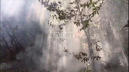 Report TV - Si çdo verë Shqipëria mbulohet nga zjarret