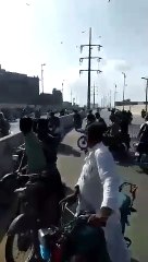 Camal runaway from Qurbani