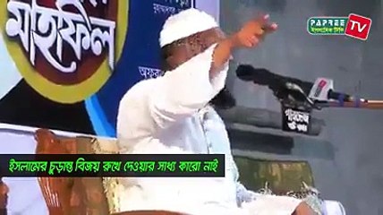 আল্লামা মামুনুল হক