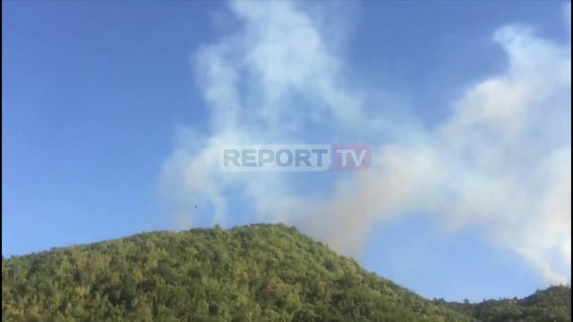 Riaktivizohet sërish zjarri në Rubik, digjen me dhjetëra hektar pyje, rrezikohen banesat përreth
