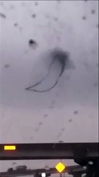 Ce nuage mystérieux n'est pas vraiment un nuage... Nuée d'oiseaux