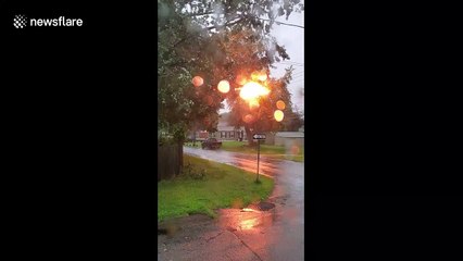 Power line burst into flame during Tropical Storm Isaias in Delaware