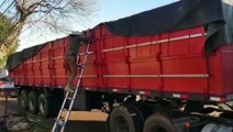 Denarc e PRF apreendem caminhão com 1,2 tonelada de maconha na BR-369