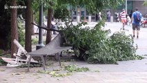 Tropical Storm Isaias leaves tree damage in New York City