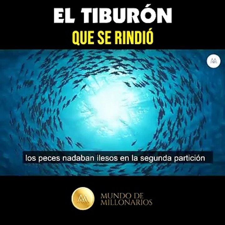tiburon