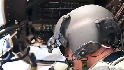 Twelve U.S. Army Black Hawks  • Fly over Los Angeles • July 31, 2020