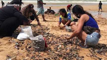 Thousands of mussels wash up on beach due to tropical storm Sinlaku in Thailand