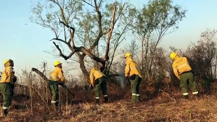 Queimadas na Argentina