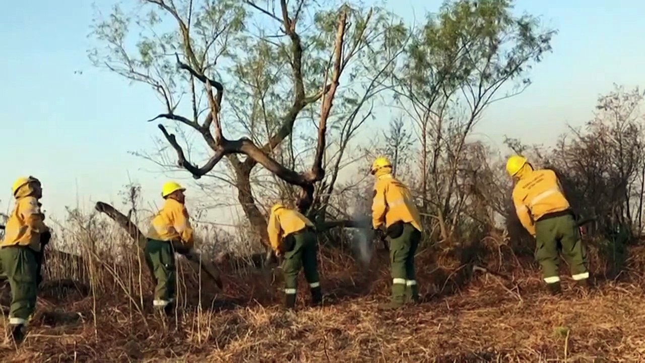 Queimadas na Argentina