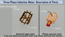 Three phase induction motor construction