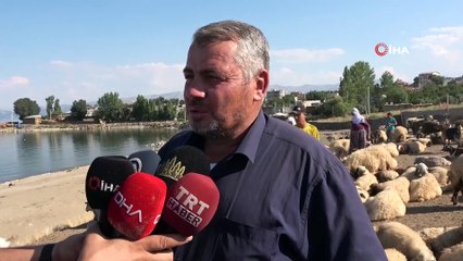 15 kilometrelik tozlu yolculuk süt sağımıyla son buluyor