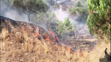 Aydın'daki yangını söndürme çalışmaları devam ediyor