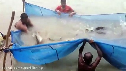 Traditional way of fishing in village using Net Fishing