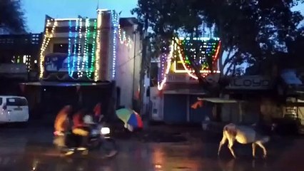 मक्सी- घरो में हुई विद्युत सज्जा, भगवा ध्वज लहराए गए