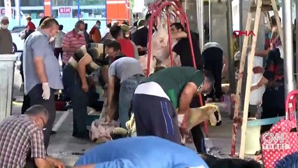 Koronavirüs resmen sahillere akın etti | Video