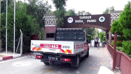 Yaralı bulunan şahin tedaviye alındı - MERSİN