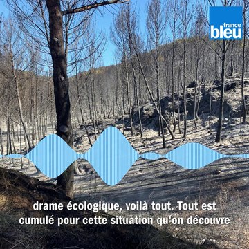 Incendie de Martigues : Henri Cambessedes, premier adjoint de Martigues