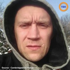 Disparu depuis 5 ans, un homme est retrouvé dans une forêt