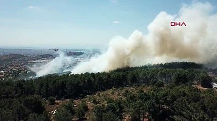 Aydos Ormanı'nda yangın