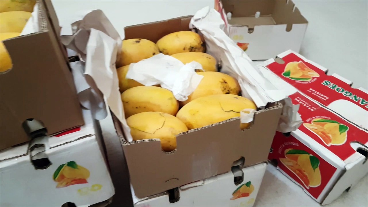 Pakistani Mangoes. กินเป็นอาชีพหลัก อาทิตย์ละ 5 ลัง.
