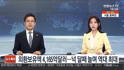 외환보유액 4,165억달러…넉 달째 늘며 역대 최대