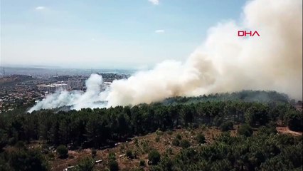 Kartal Aydos’ta ormanlık alanda yangın