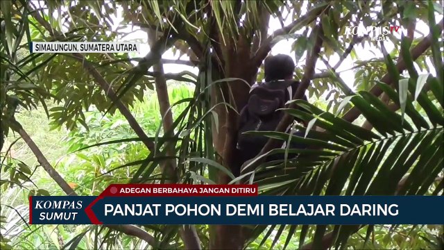 Siswa Panjat Pohon Demi Belajar Online di Tengah Pandemi Covid-19