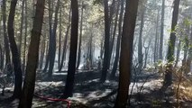 Aydos Ormanı'nda çıkan yangın söndürüldü - İSTANBUL