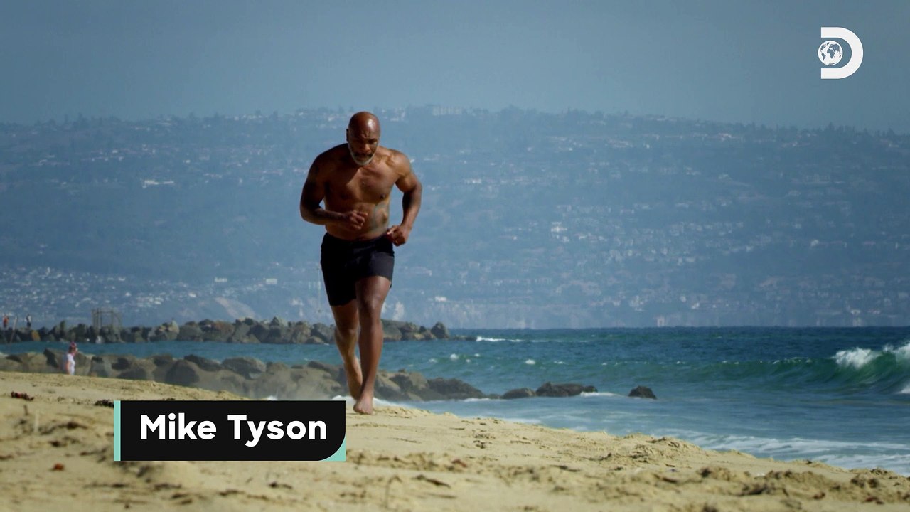 Le documentaire « Mike Tyson vs Shark » sera diffusé le 21 août à 22h25 en France (le 9 août à 21h aux Etats-Unis) sur Discovery Channel
