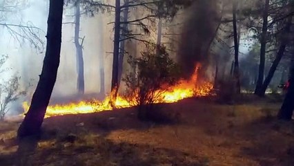 Aydos Ormanı'nda yangın - İSTANBUL