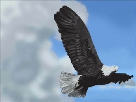 V2-Day - Libera l'informazione libera Speed Painting