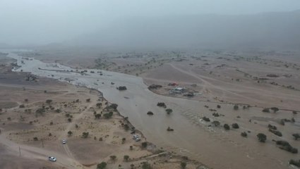 17 killed in Yemen storms