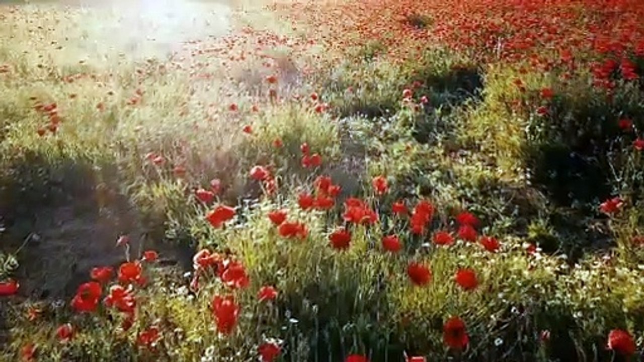 NATURE BEAUTI