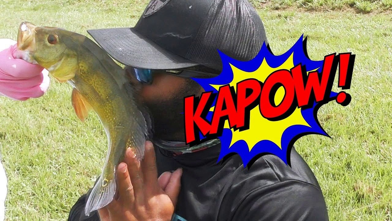 WEIRD Sighting at Fishing Hole! Fish Slapped LOL