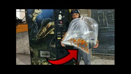 VENDING MACHINE Sells LIVE FISH!